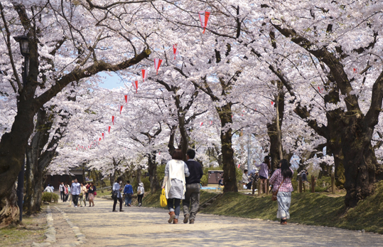 千秋公園・久保田城御隅櫓